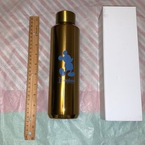 DISNEYLAND RESORT EXCLUSIVE -STARBUCKS STAINLESS STEEL COLD DRINKS/WATER BOTTLE